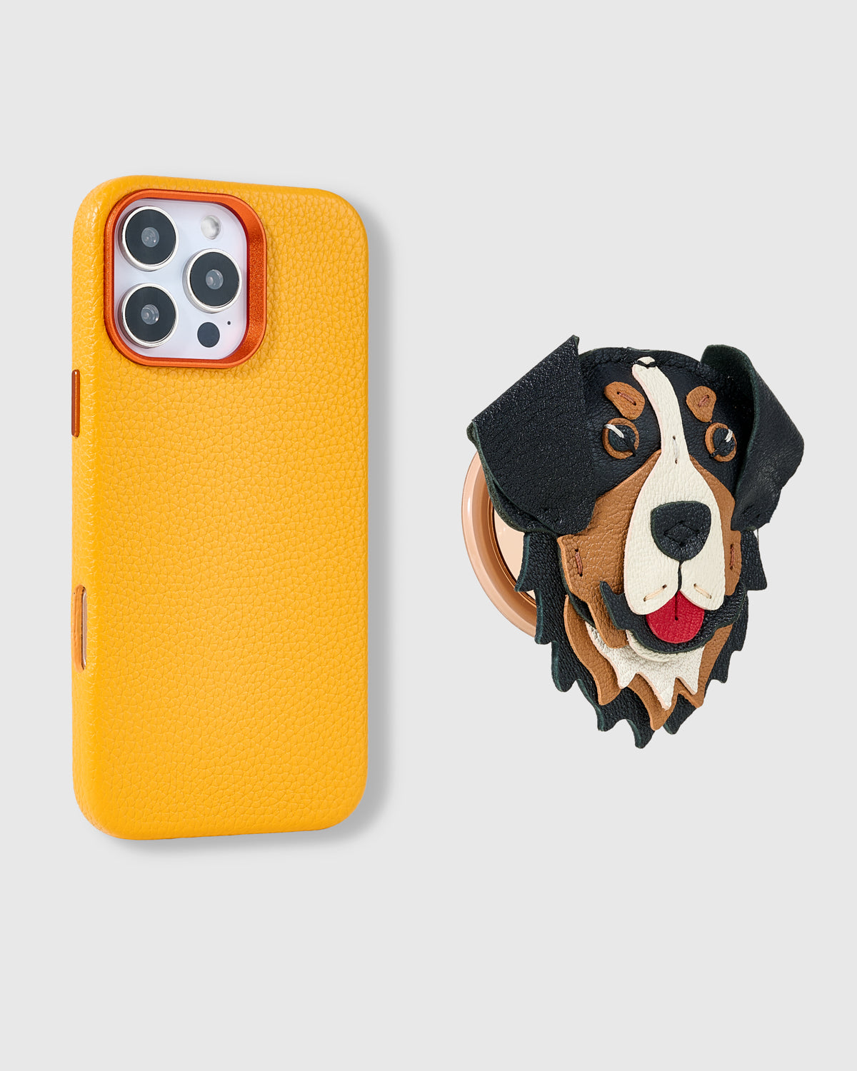 BERNESE CHARM CASE SET