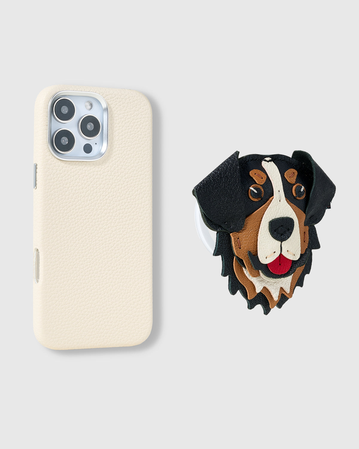 BERNESE FOOTBALL CHARM CASE SET