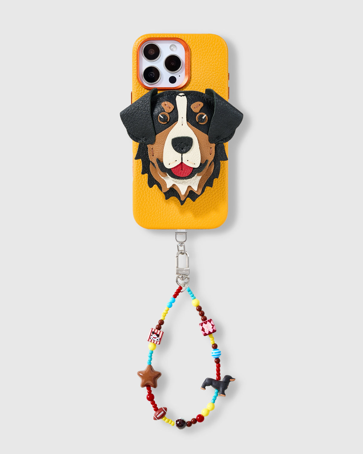 BERNESE CHARM CASE SET