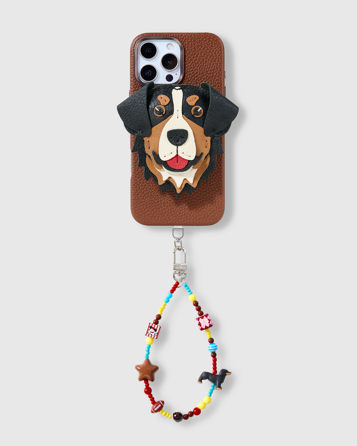 BERNESE CHARM CASE SET