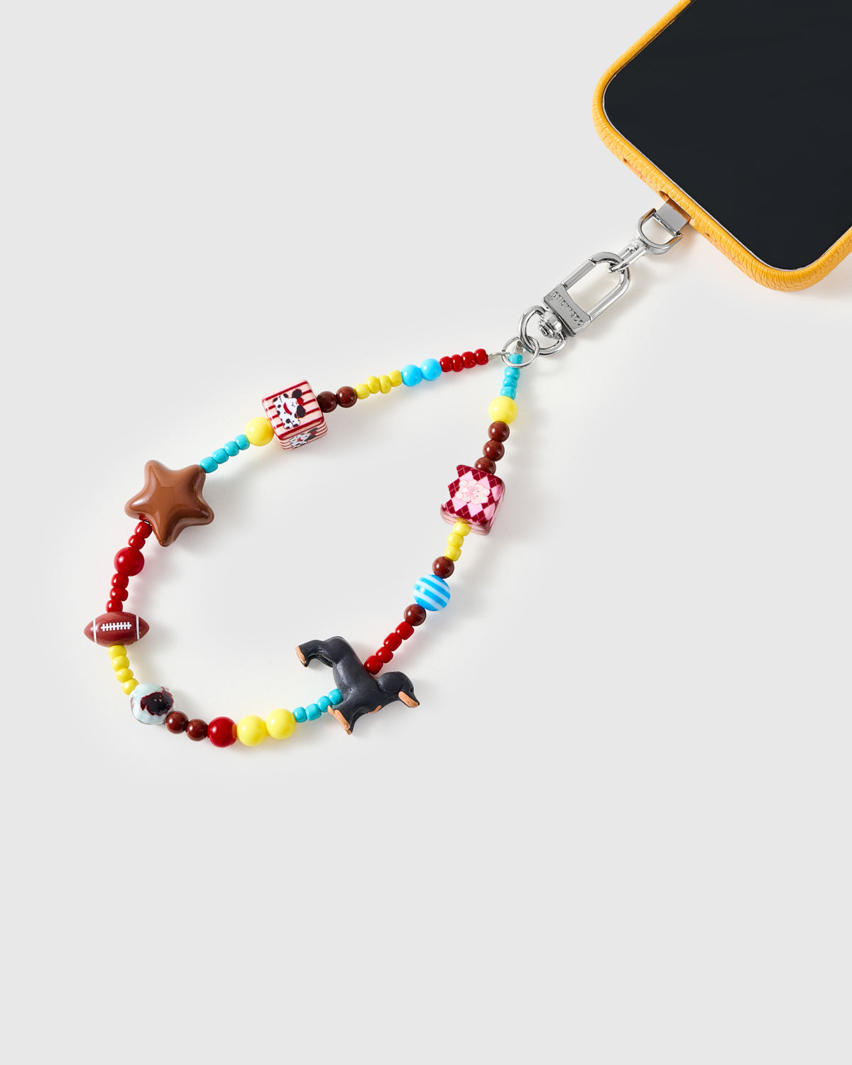 BERNESE CHARM CASE SET
