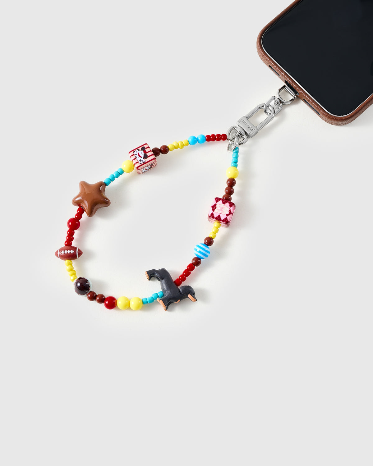 BERNESE CHARM CASE SET