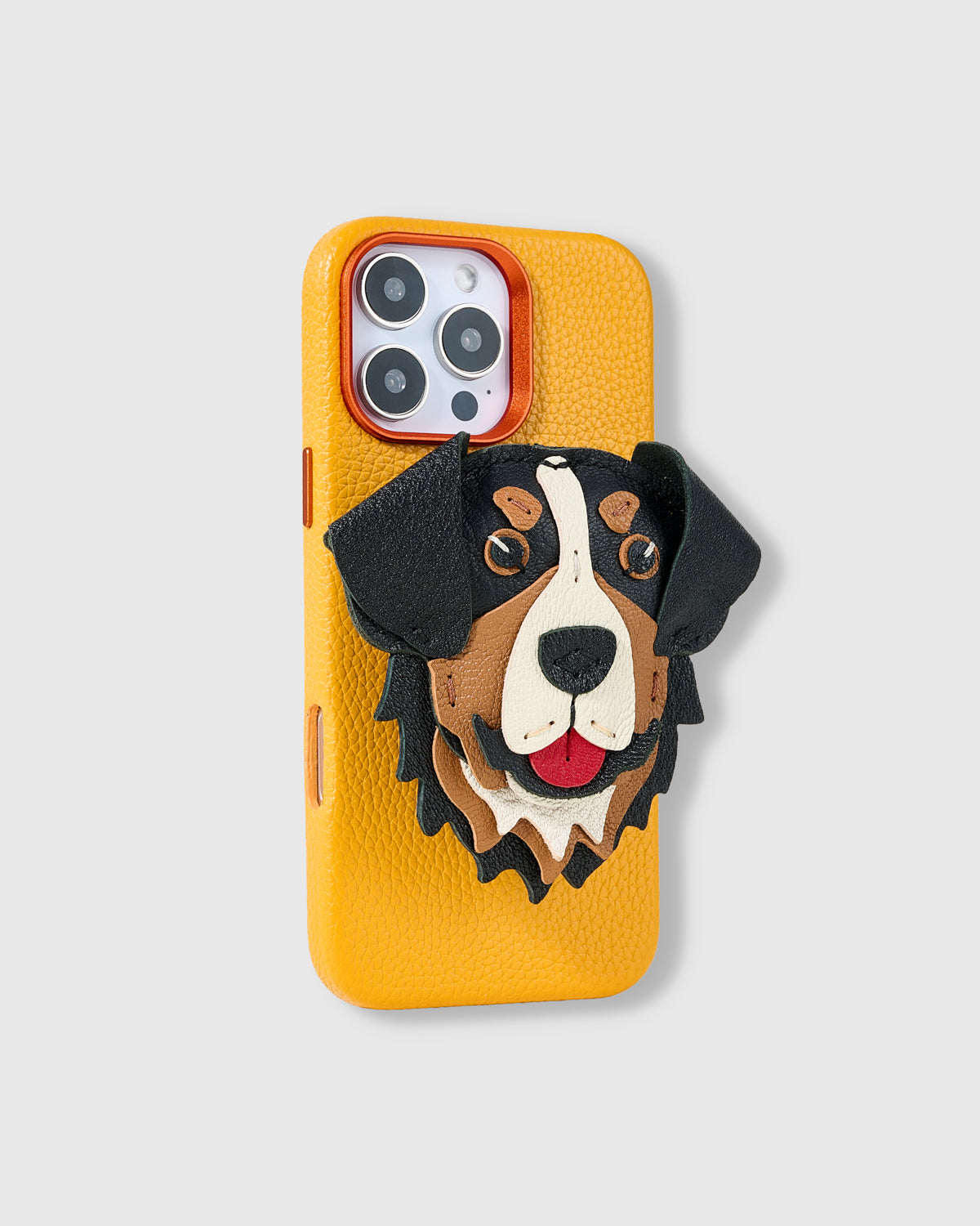 BERNESE CHARM CASE SET