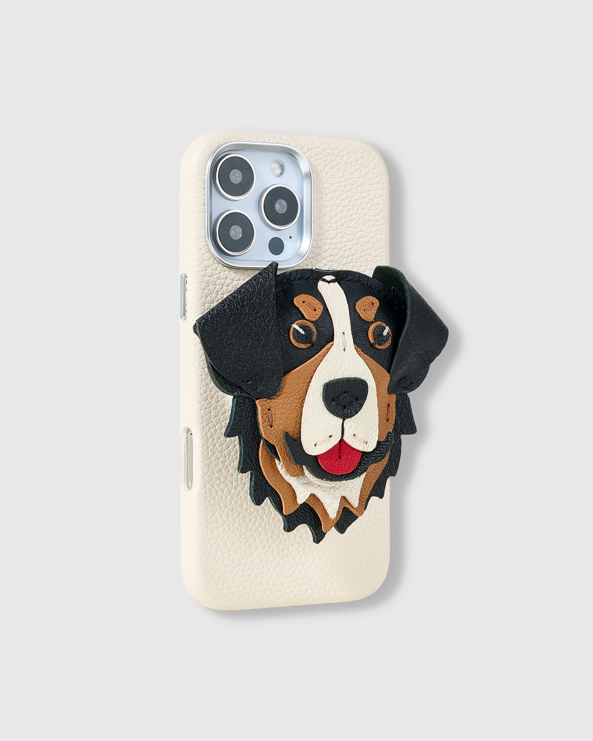 BERNESE FOOTBALL CHARM CASE SET