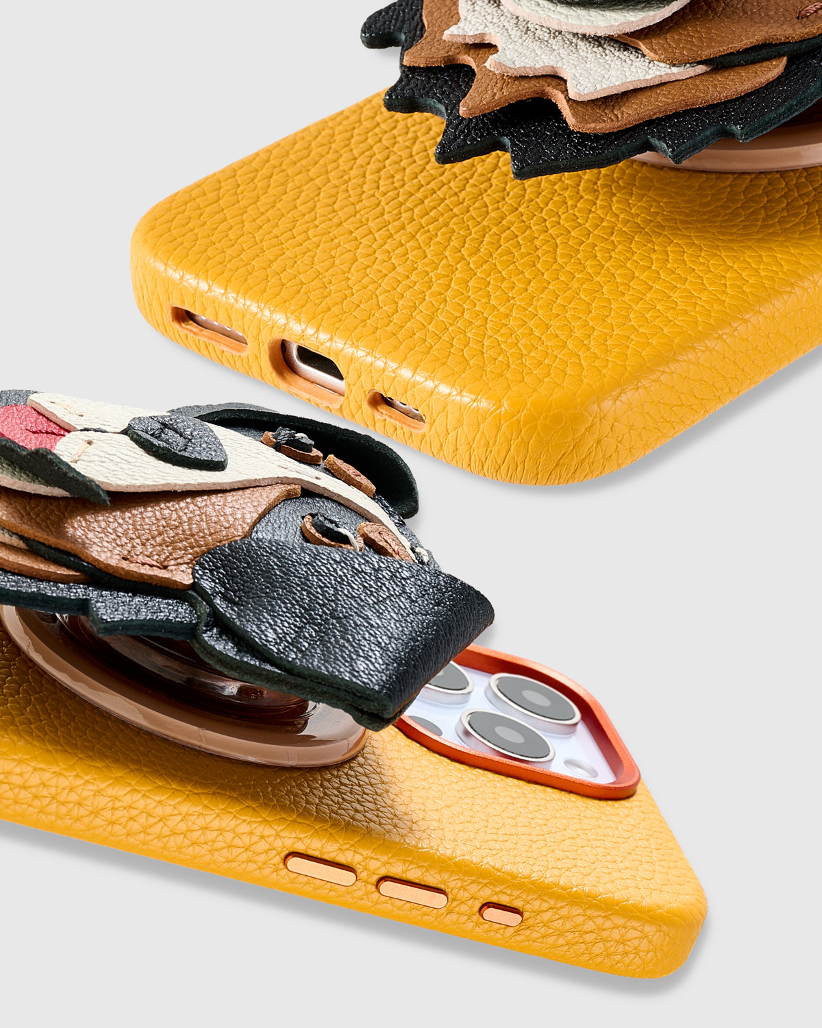 BERNESE CHARM CASE SET