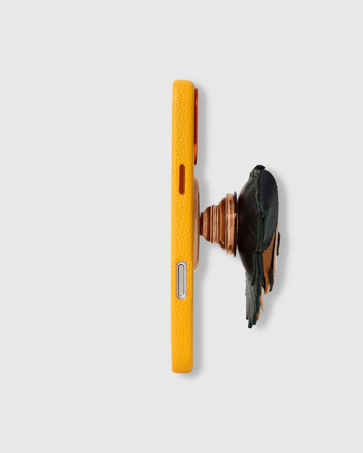 BERNESE CHARM CASE SET