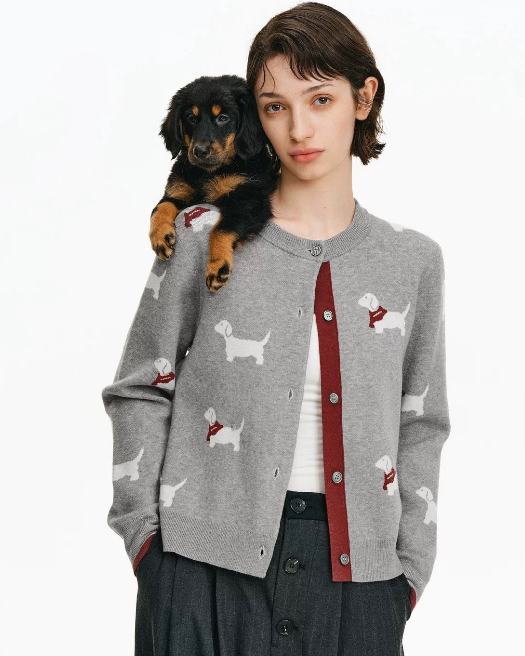 DACHSHUND CARDIGAN