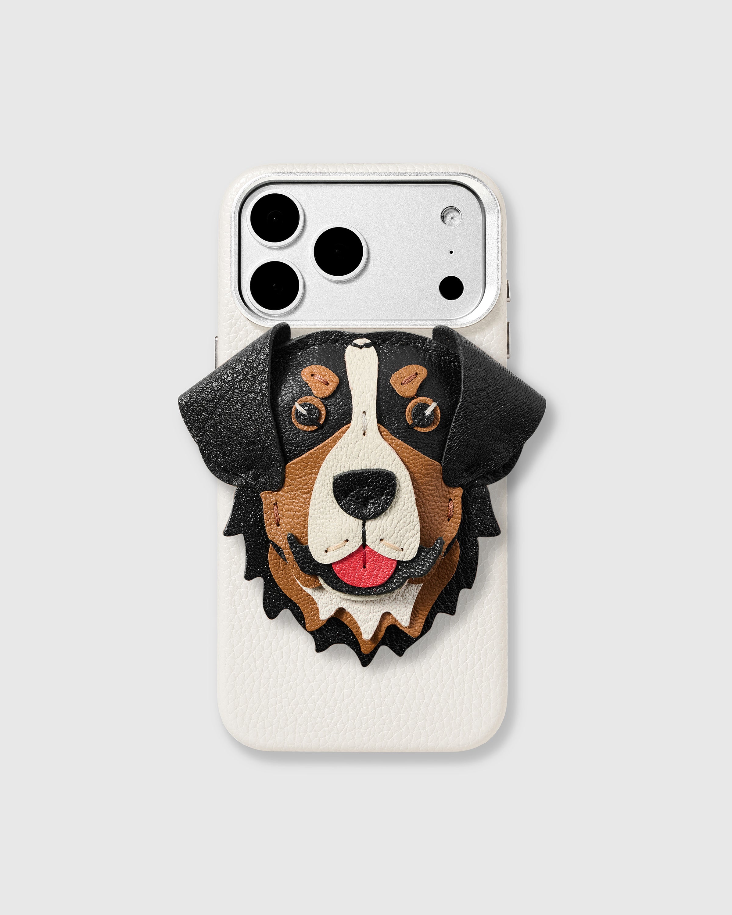 ZESTAW ETUI BEAR CYTRYNOWY KRAWIECKI