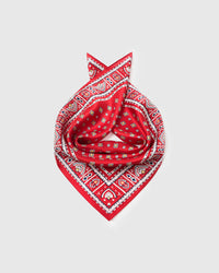 Silk foulard scarf coiled to show the drape of pure silk and the mustard diamond pattern