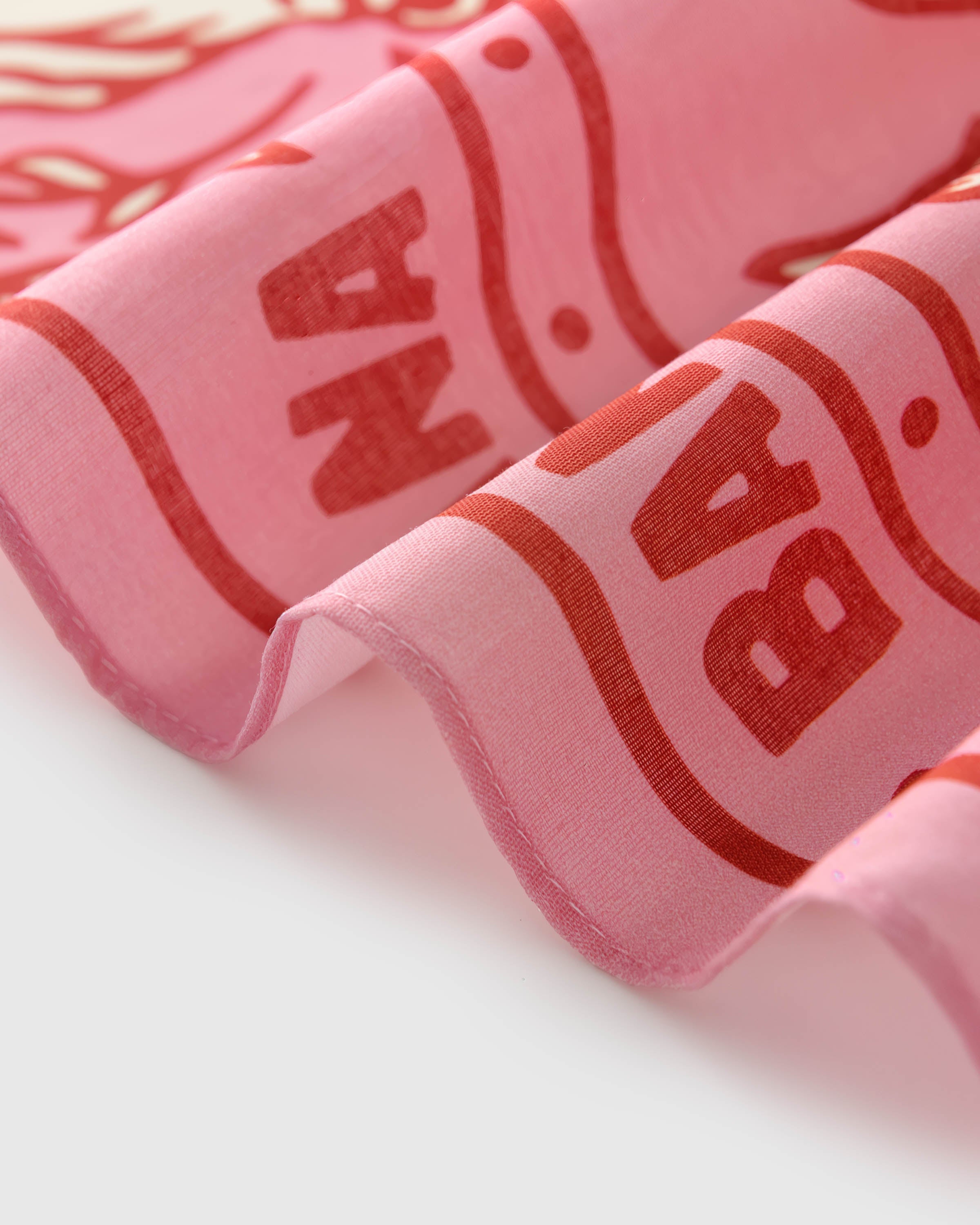 Close-up of the hand-illustrated cartouche border printed in archival inks on the pink silk field