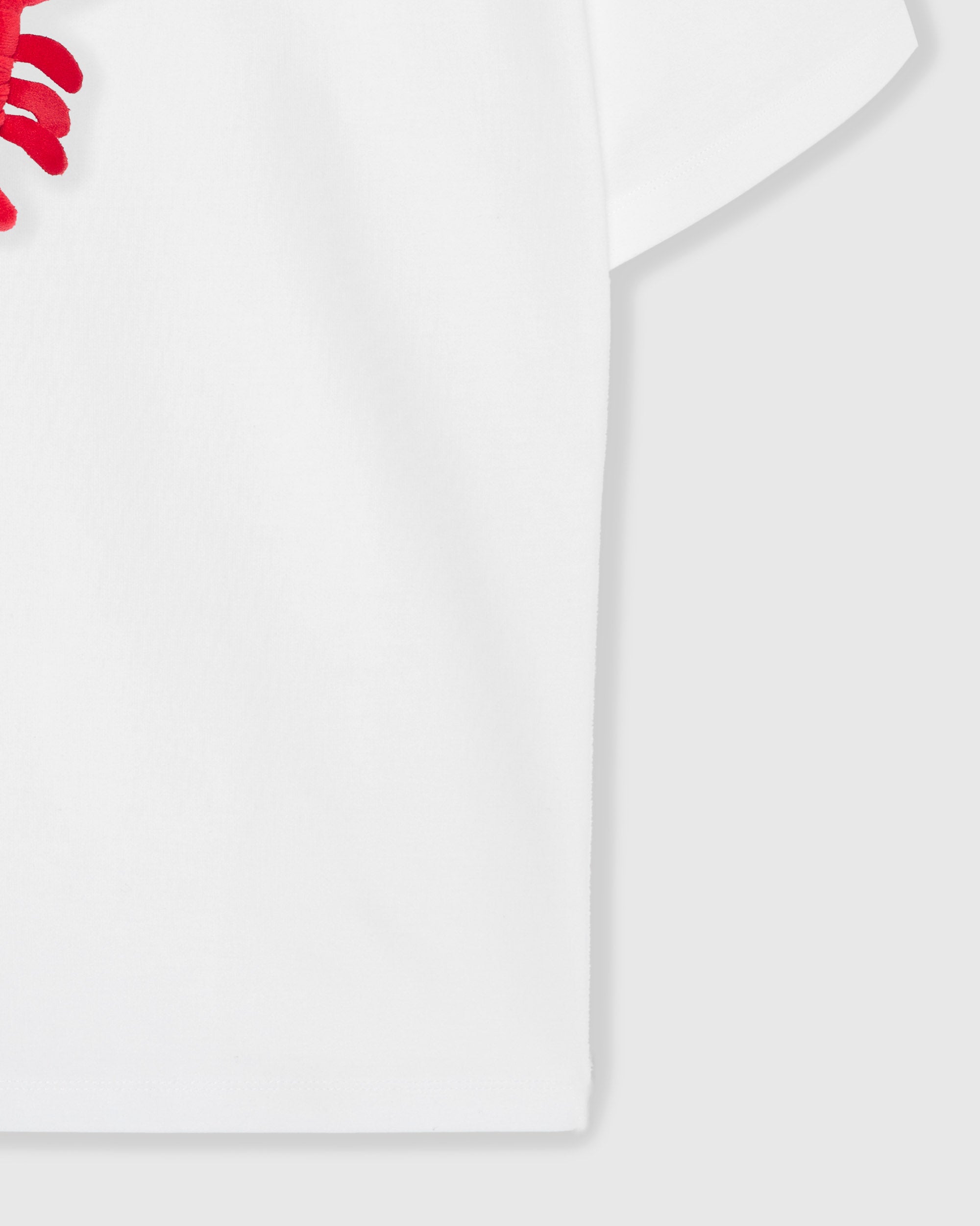 SHRIMP HUG T-SHIRT