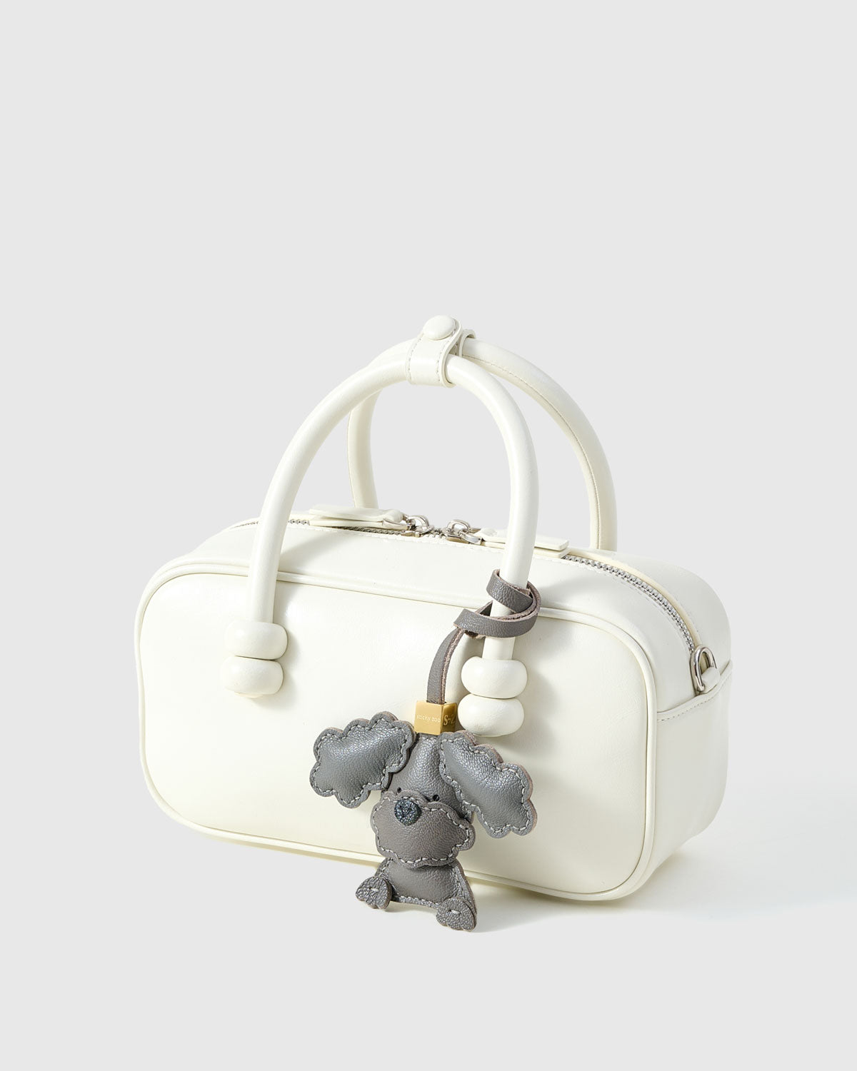 푸들 강아지 참