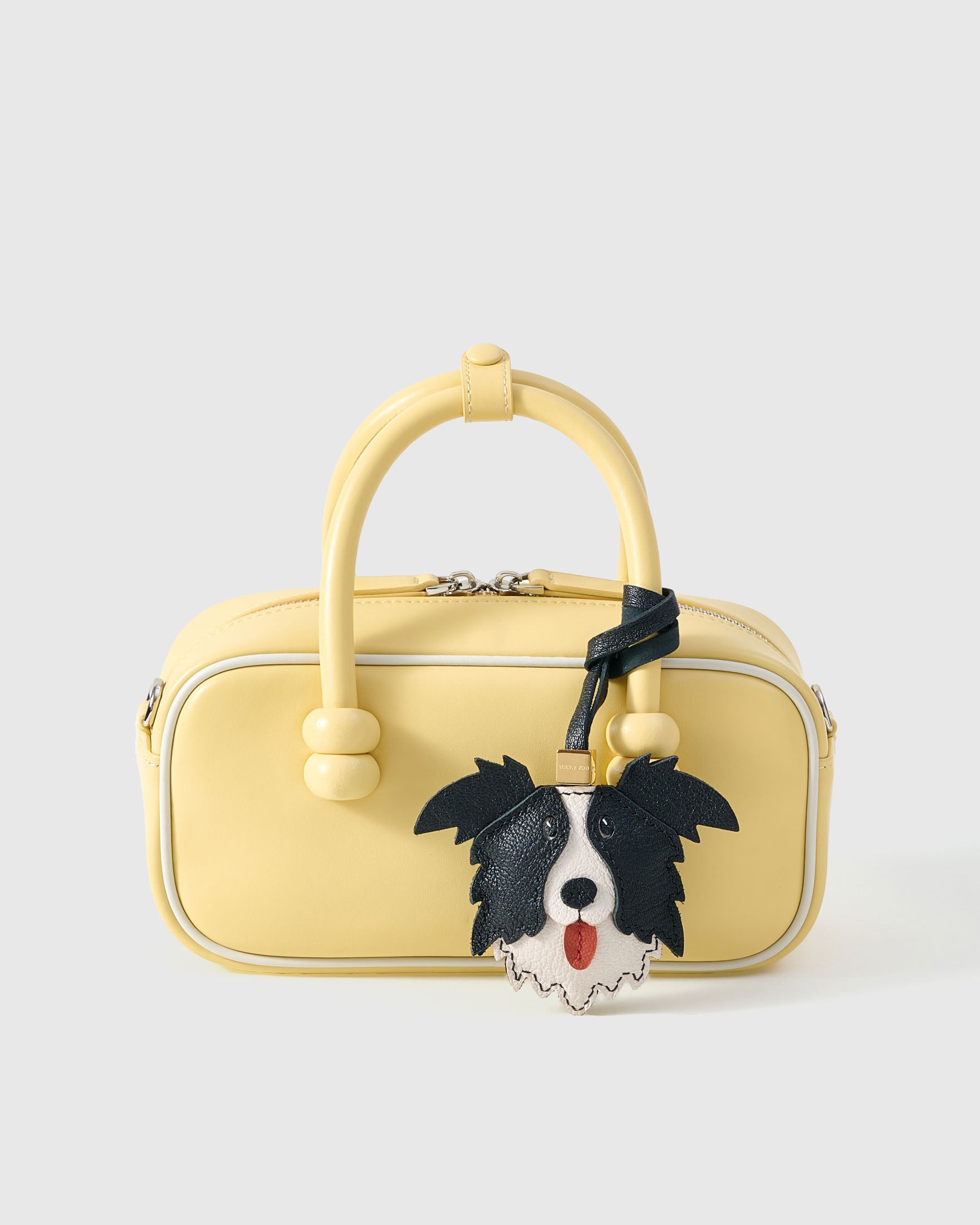 BORDER COLLIE CHARM