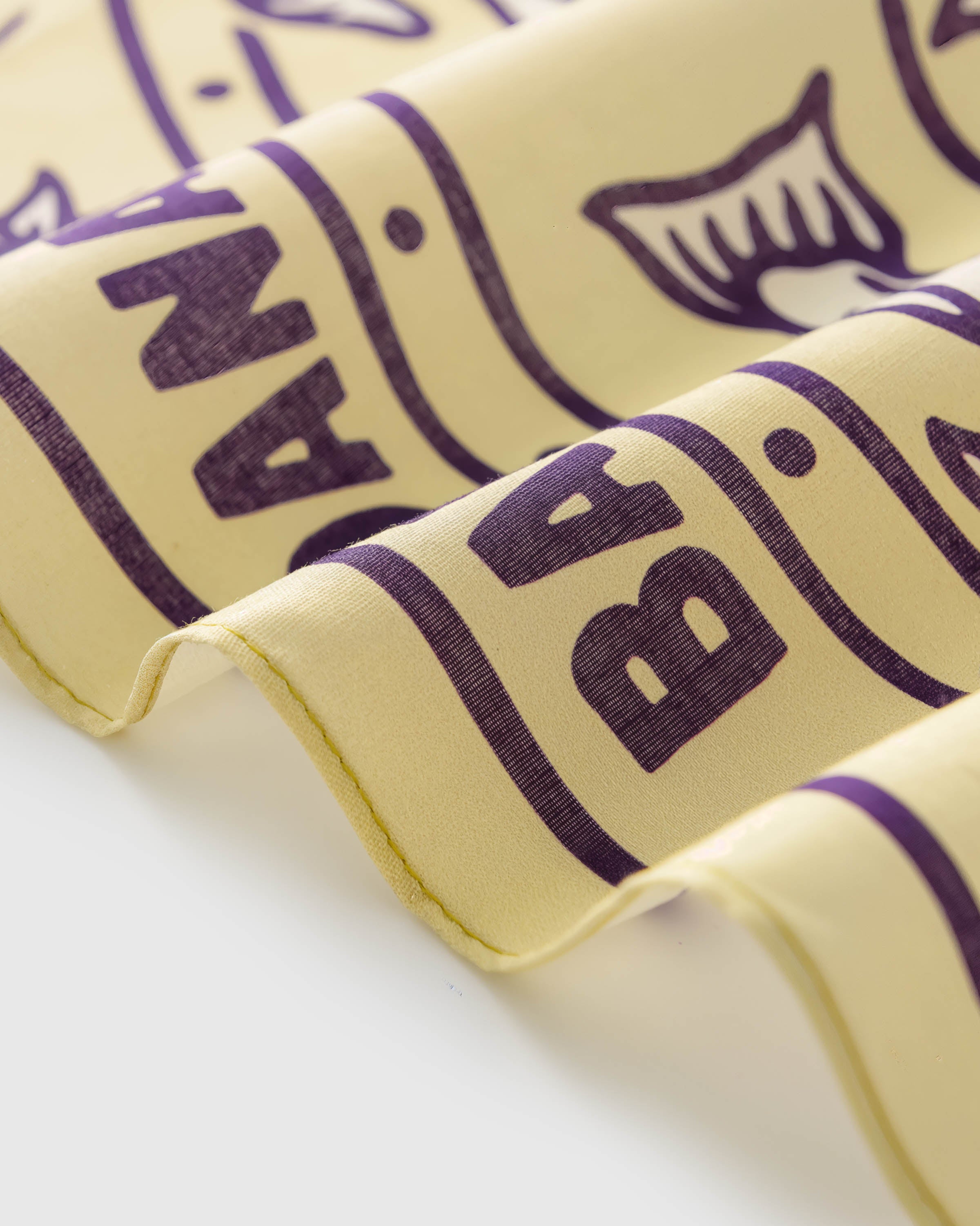 Close-up of the hand-illustrated cartouche border printed in archival inks on the yellow silk field