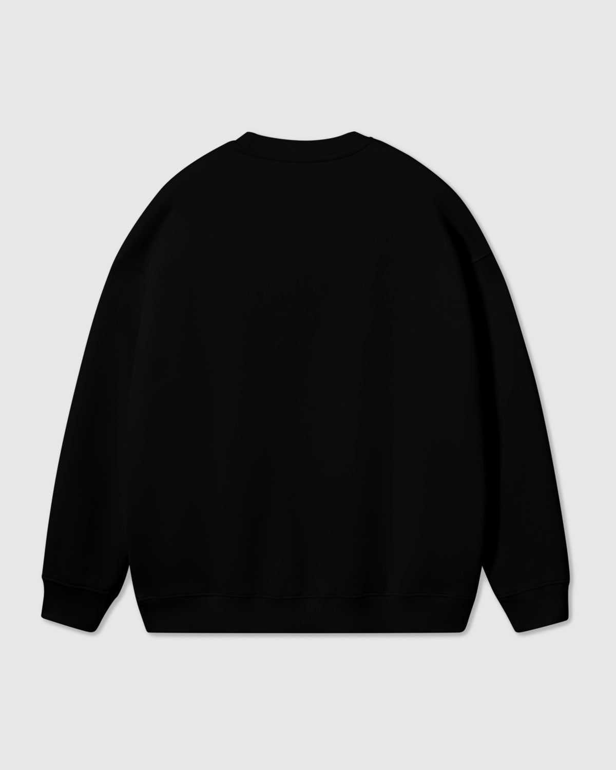 Back view of STICKYZOO Cardinal Puppy Sweatshirt in black showing oversized boxy silhouette and dropped shoulders