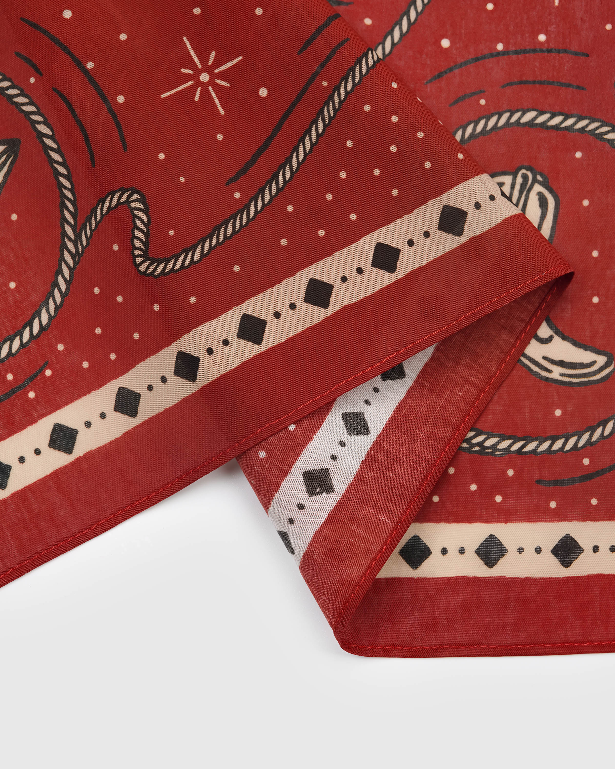 Close-up of the hand-illustrated roped cartouche printed in archival inks on pure silk