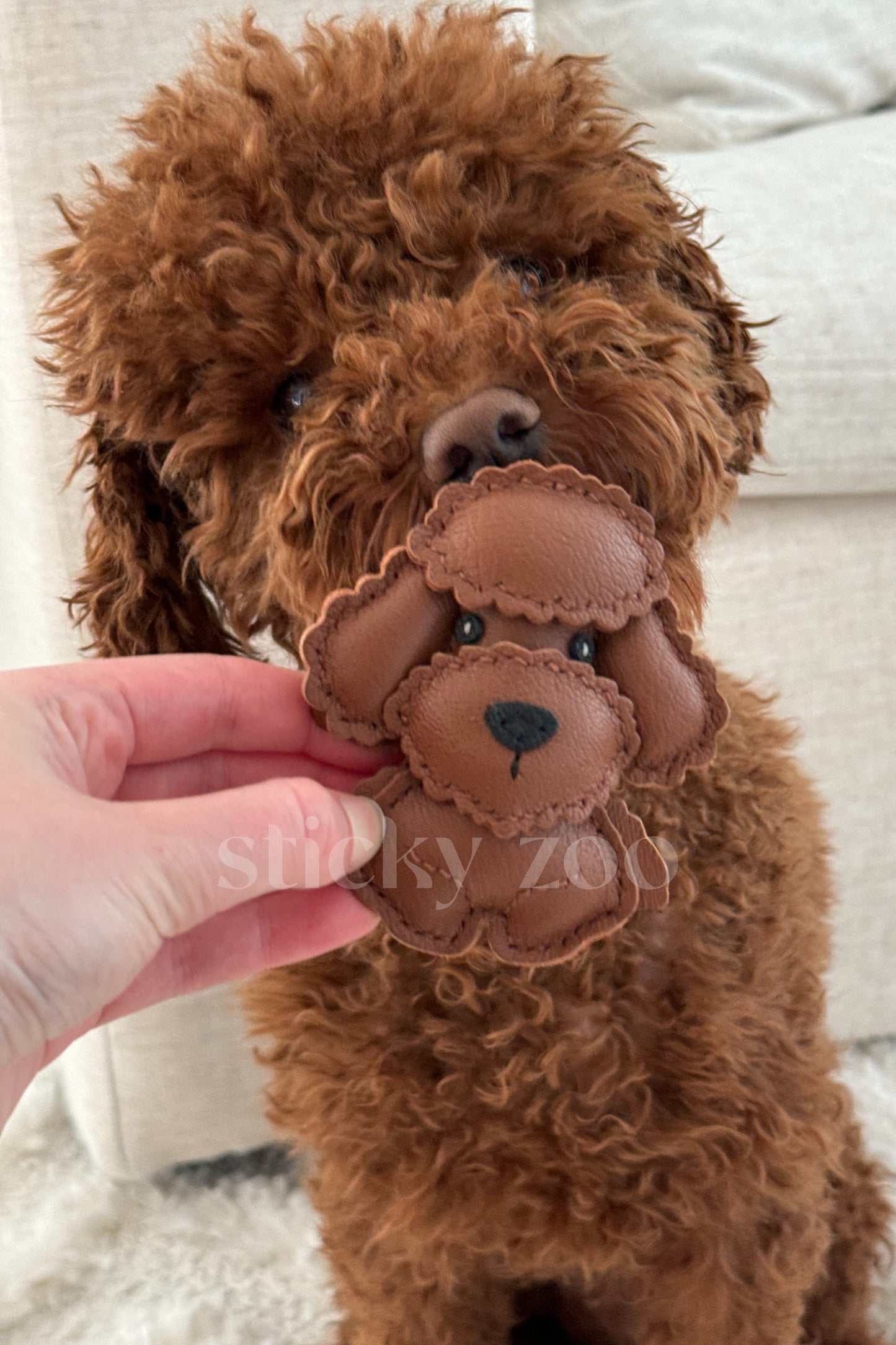 POODLE TEDDY BAG CHARM