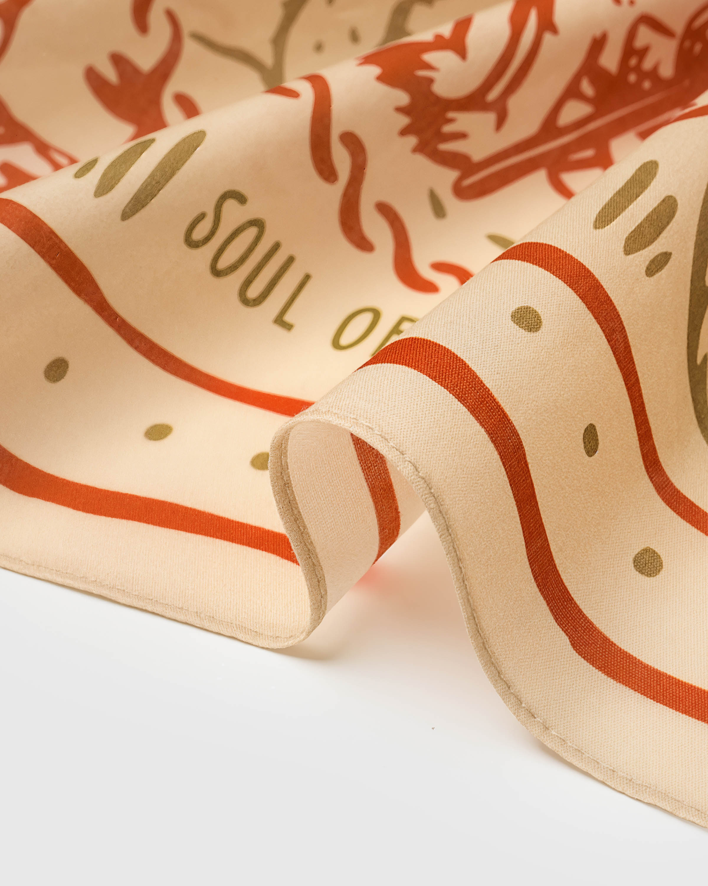 Close-up of the hand-illustrated medallion border on the vintage Western silk scarf