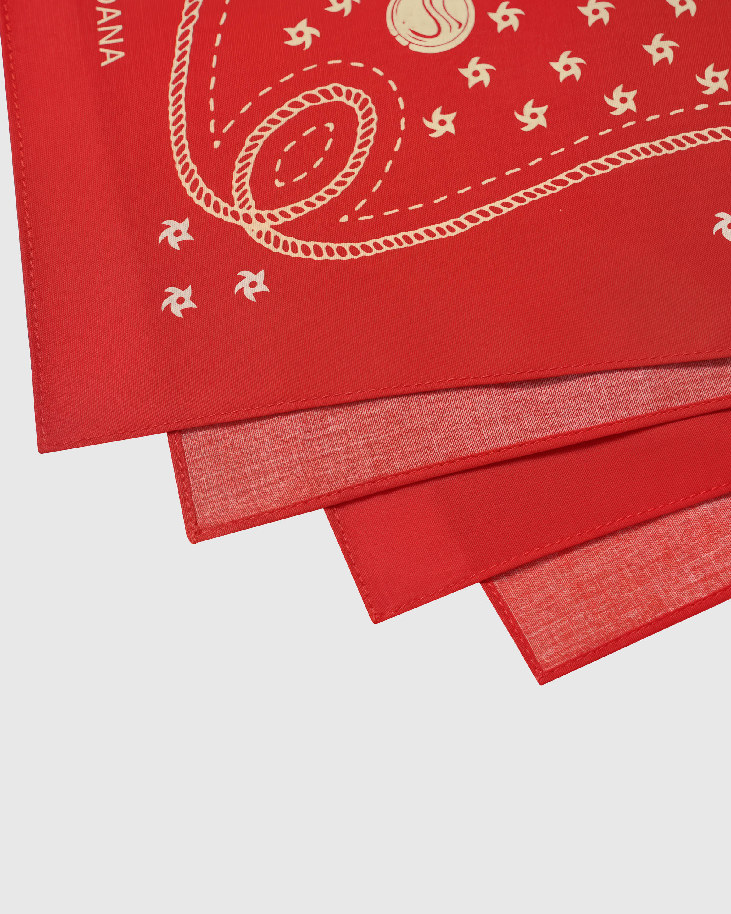 Close-up of the roped cartouche corner printed in archival inks on the crimson silk field