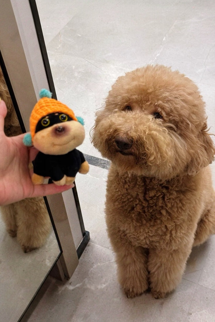BEN PUPPY CHARM