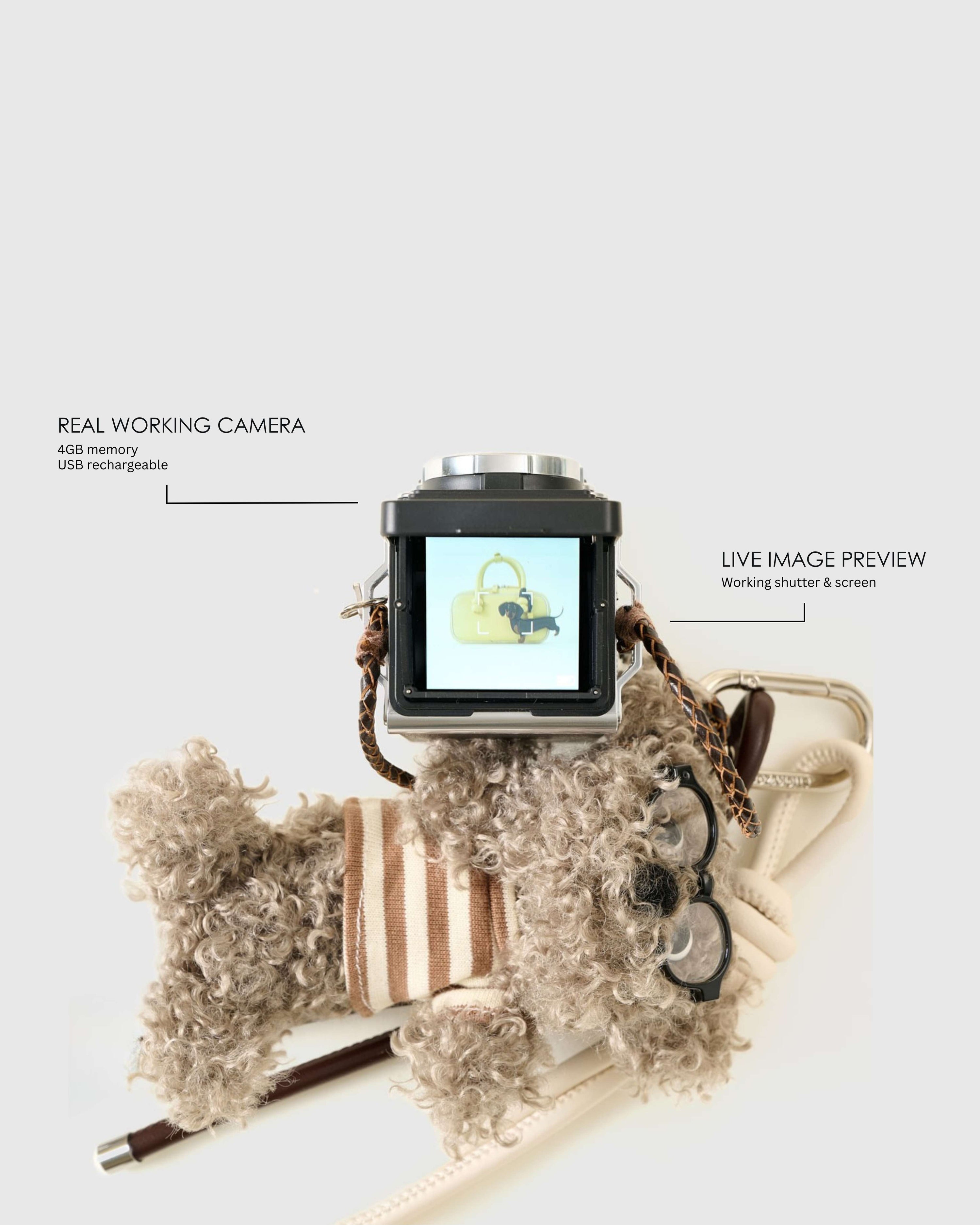 푸들그램™ 스택 참