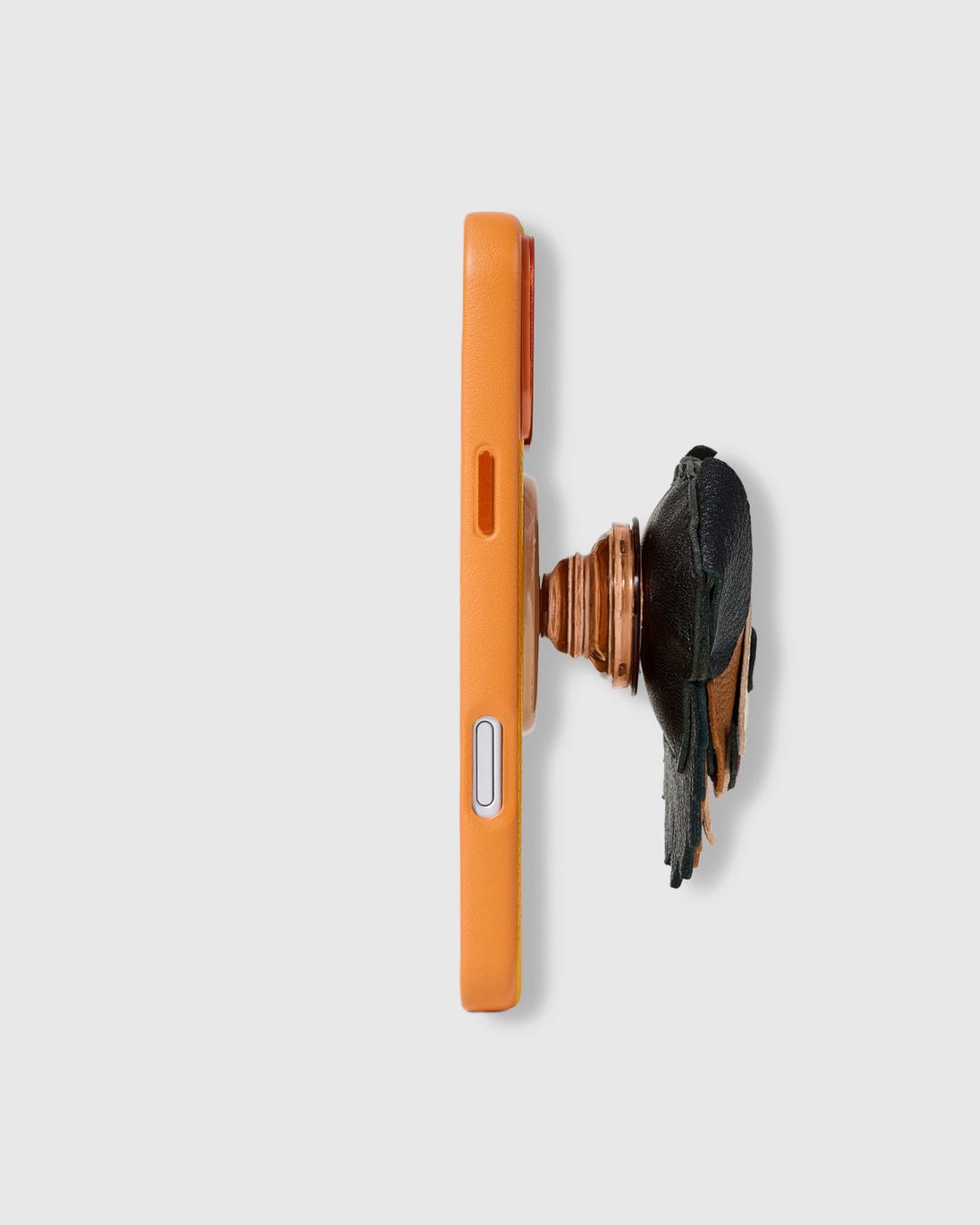 BERNESE CHARM CASE SET