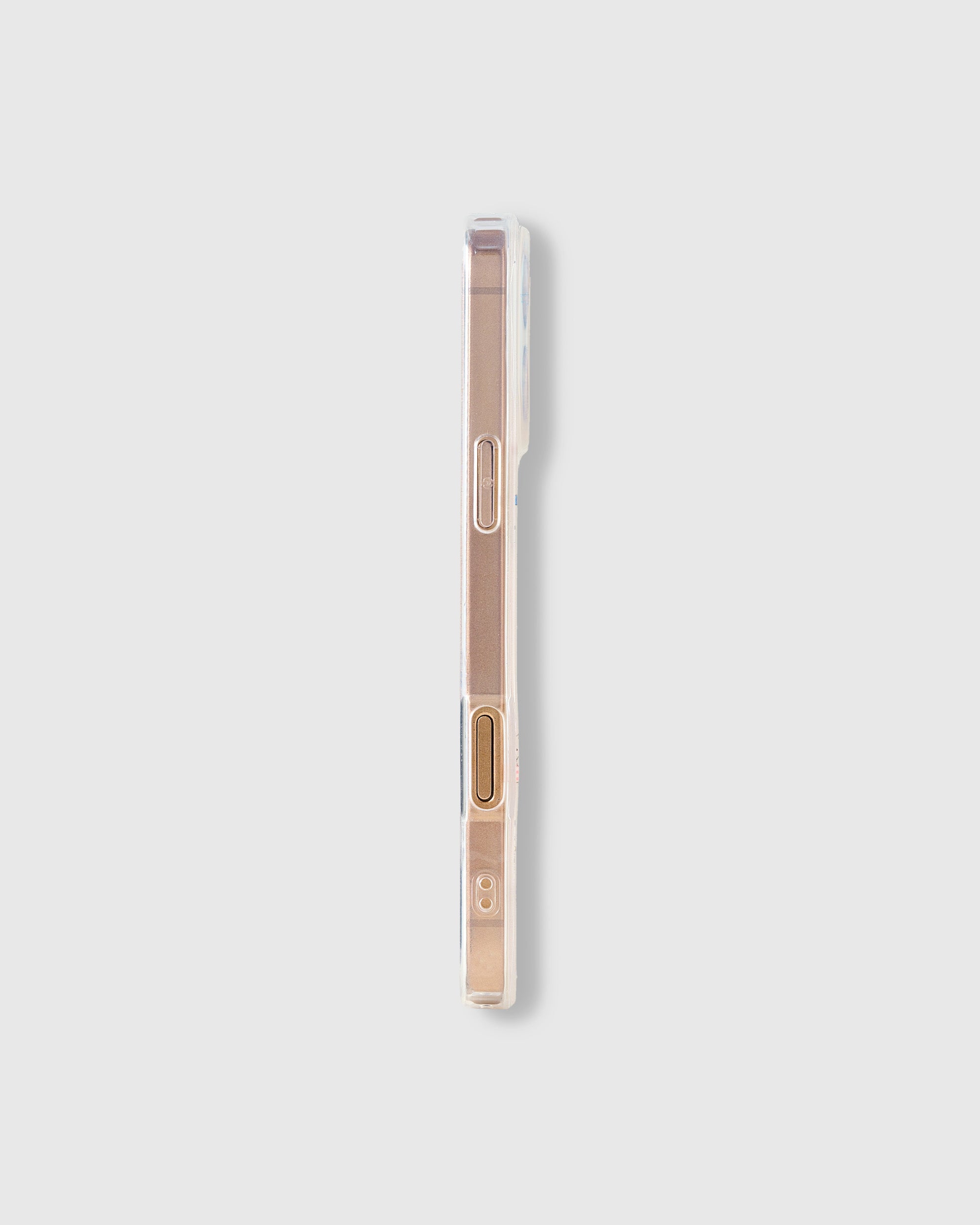 LITTE DOGS CASE