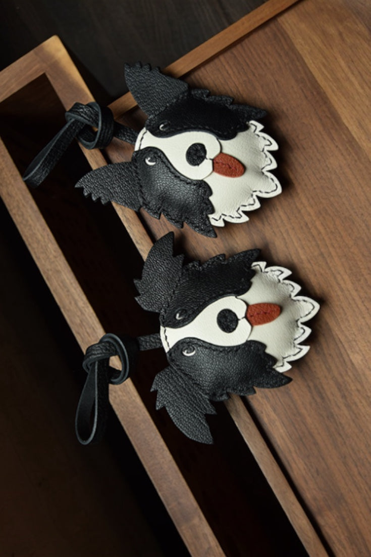 BORDER COLLIE CHARM
