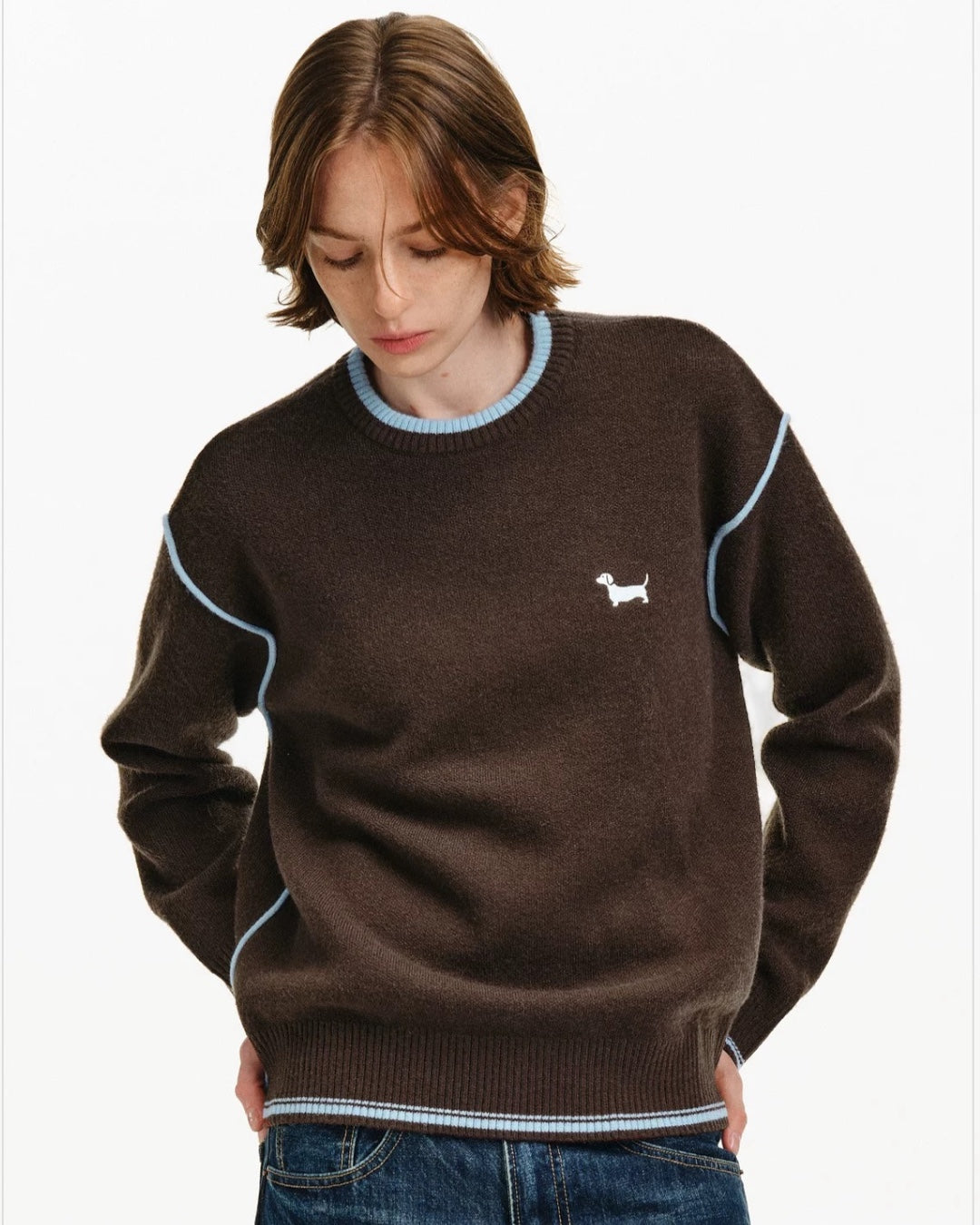 DACHSHUND SWEATER