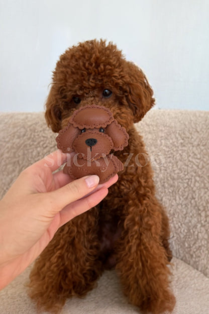 POODLE TEDDY BAG CHARM