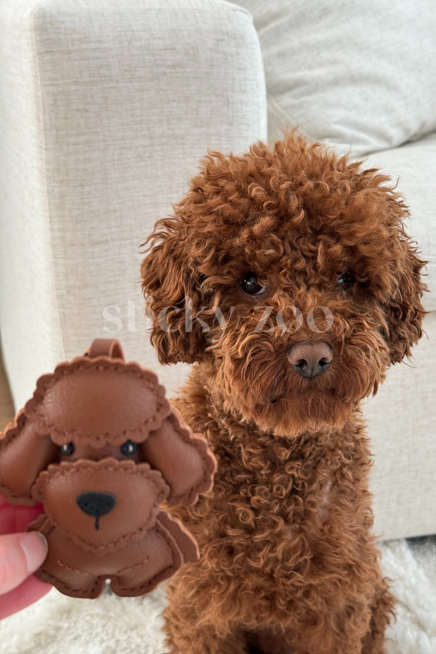 POODLE TEDDY BAG CHARM