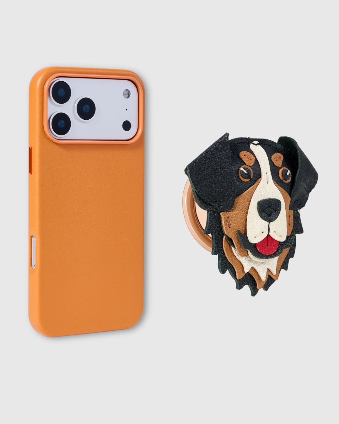 BERNESE CHARM CASE SET