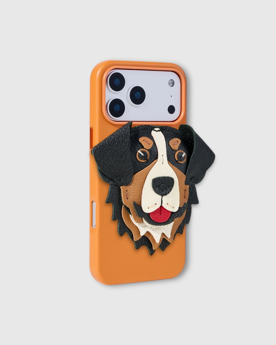 BERNESE CHARM CASE SET