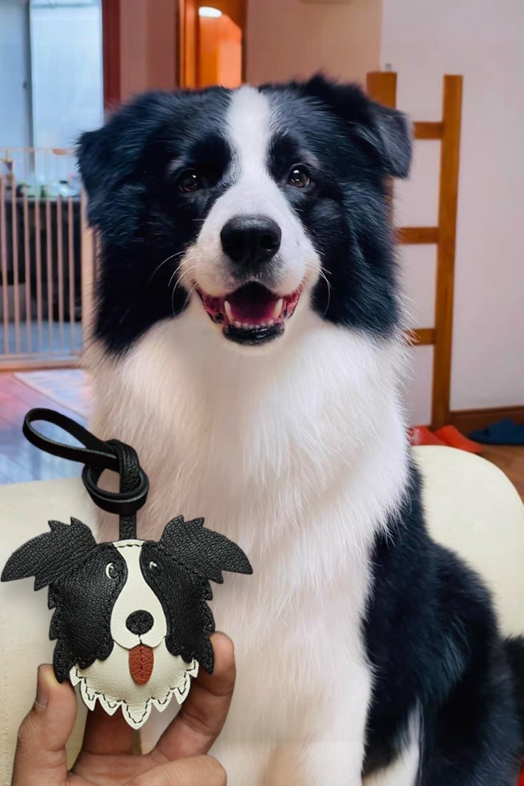BORDER COLLIE CHARM | FOLDED EAR STYLE