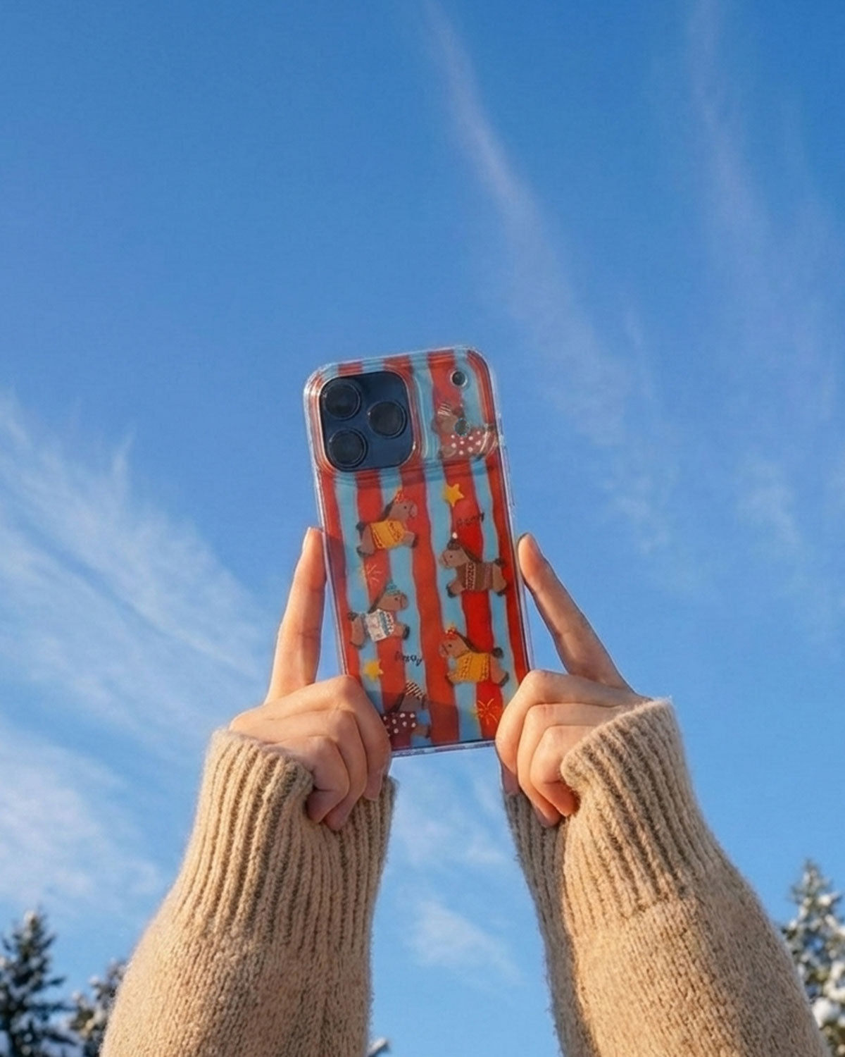 CIRCUS PONY STRIPE PHONE CASE